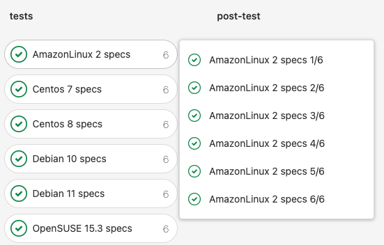 Amazon Linux 2 Test Results