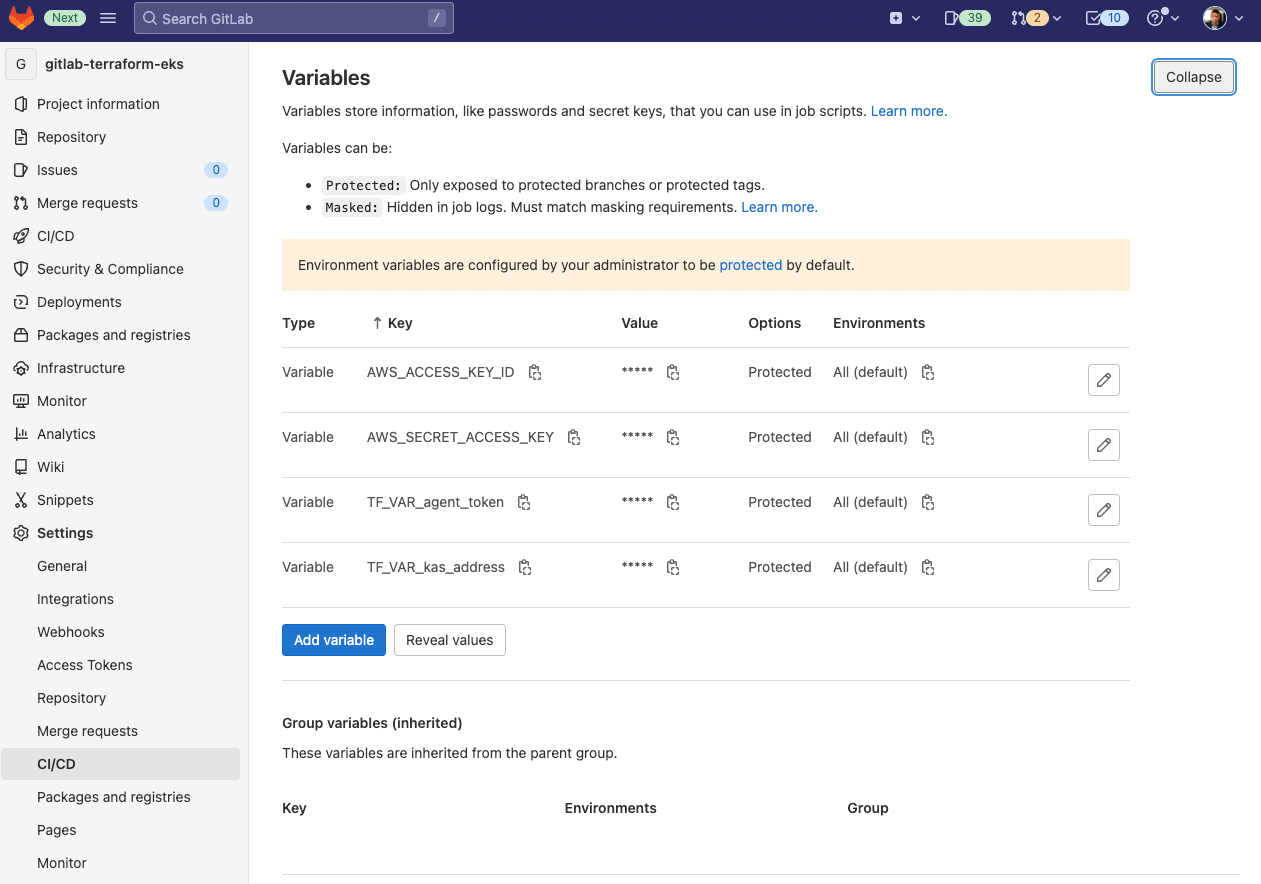 Add in CI/CD variables