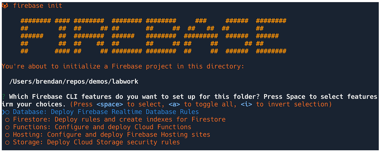 Output of firebase init command