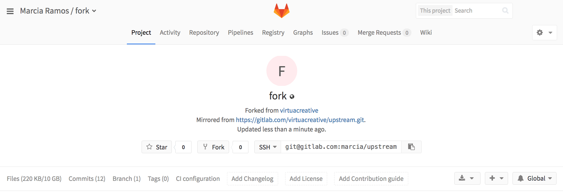 fork - repo successfully mirrored