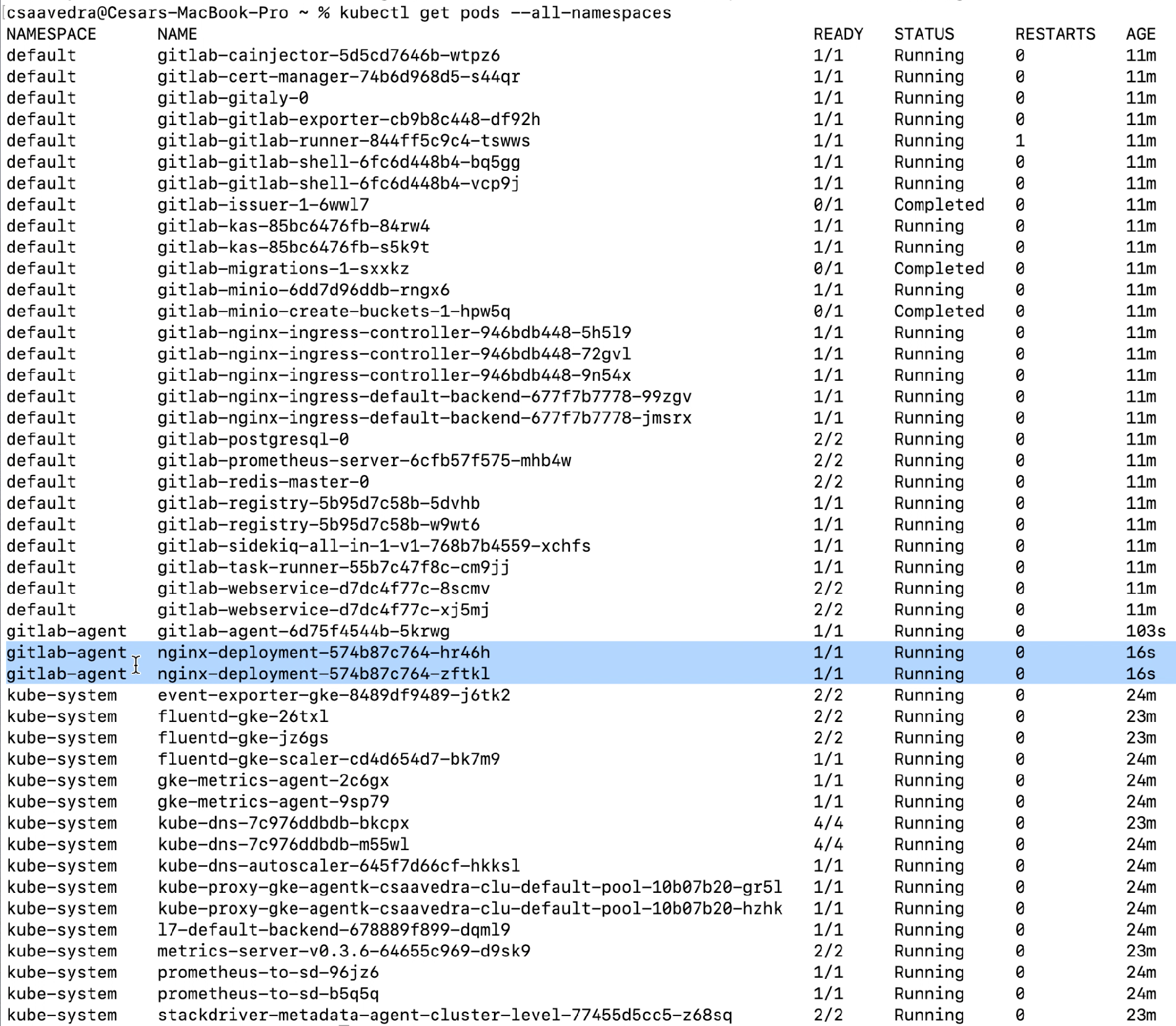 Two nginx pods up and running