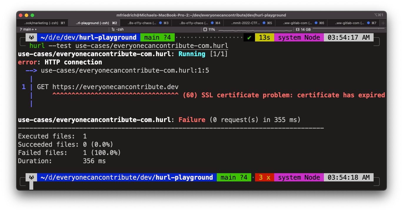 Hurl chained requests, failing the first test with TLS certificate problems