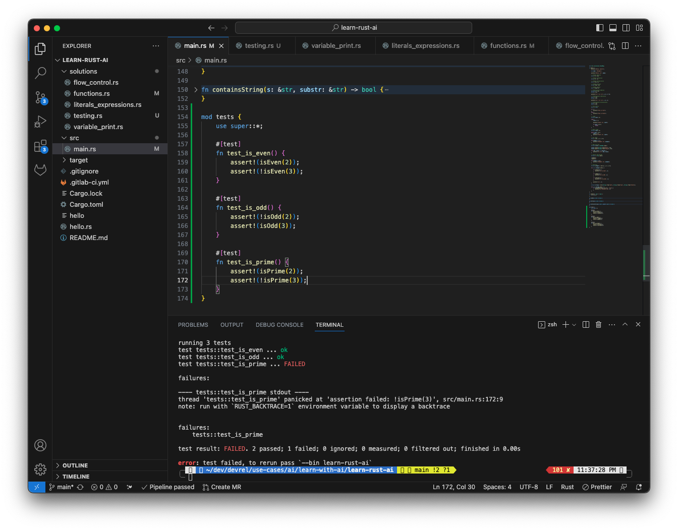 Function unit tests, cargo test output in the VS Code terminal