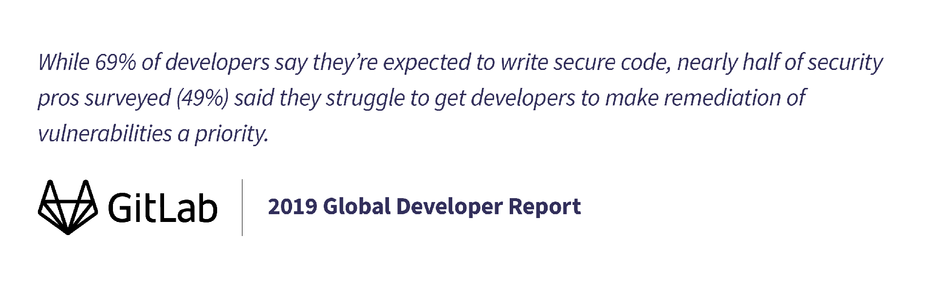 2019 Developer Report security findings