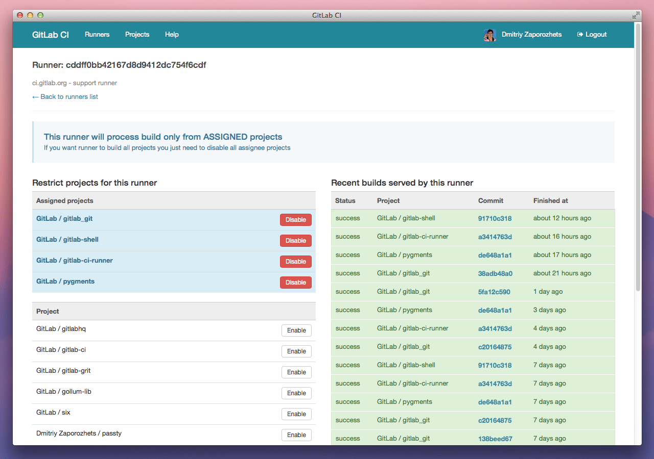 Gitlab раннер для нескольких проектов