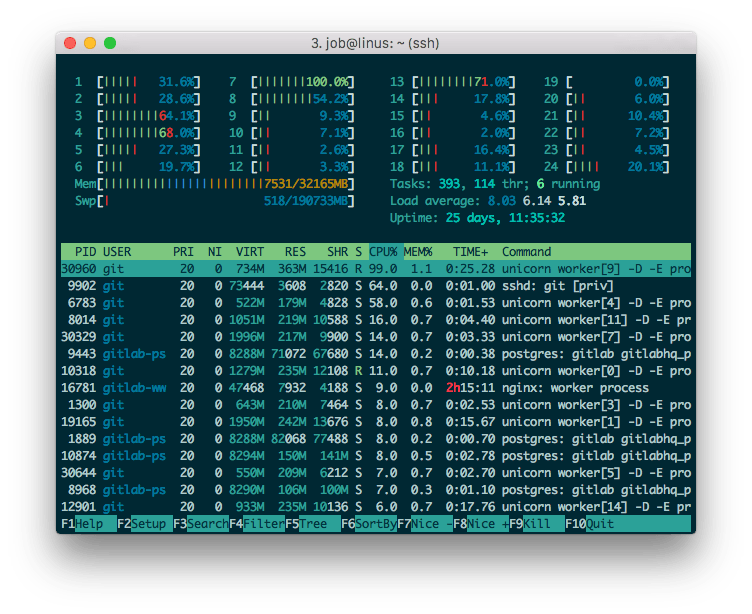 htop on GitLab server