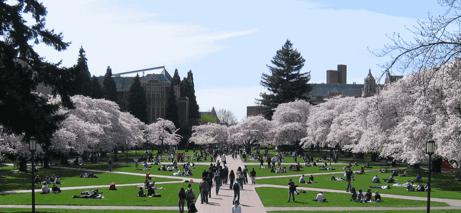 Campus de l'Université de Washington