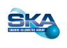 ska Logo logo